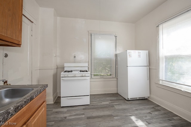 kitchen with a wealth of natural light, wood-type flooring, and white appliances