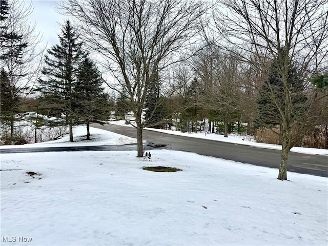 view of snowy yard