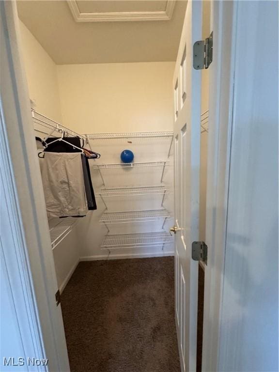 walk in closet featuring dark carpet