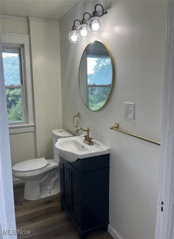 bathroom featuring wood-type flooring, vanity, toilet, and a textured ceiling