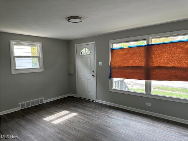 entrance foyer featuring wood-type flooring