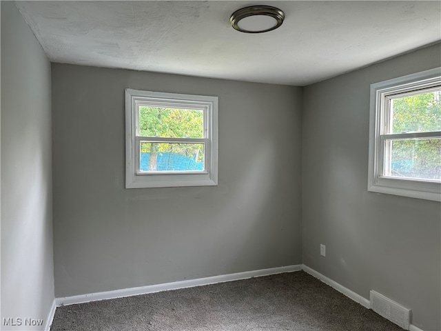 spare room featuring carpet flooring and plenty of natural light