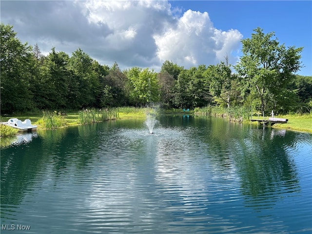 property view of water