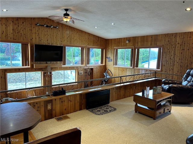 kitchen featuring carpet flooring, plenty of natural light, a textured ceiling, and wooden walls