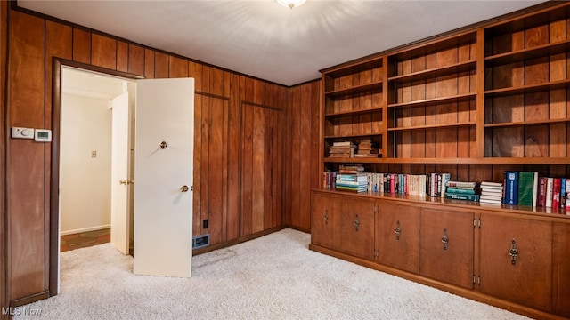 interior space featuring wood walls