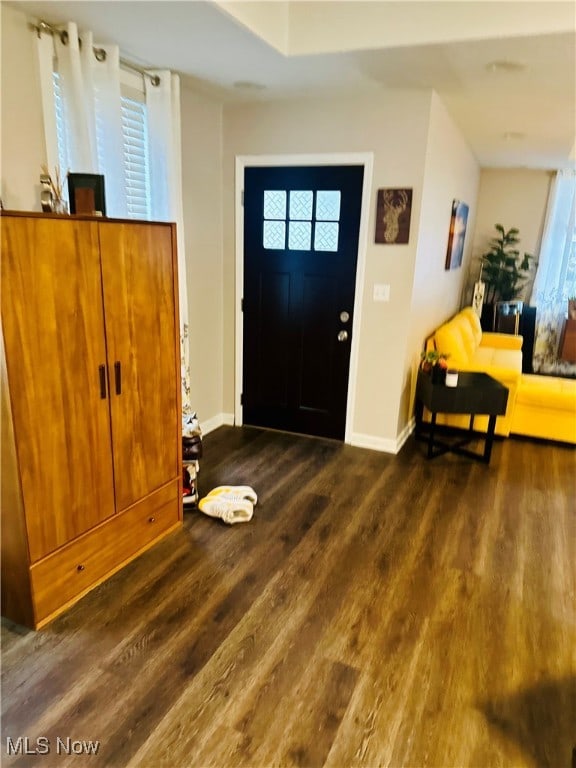 foyer entrance featuring a healthy amount of sunlight and dark hardwood / wood-style flooring