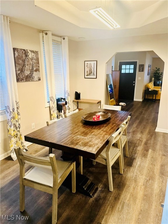 dining area featuring hardwood / wood-style floors