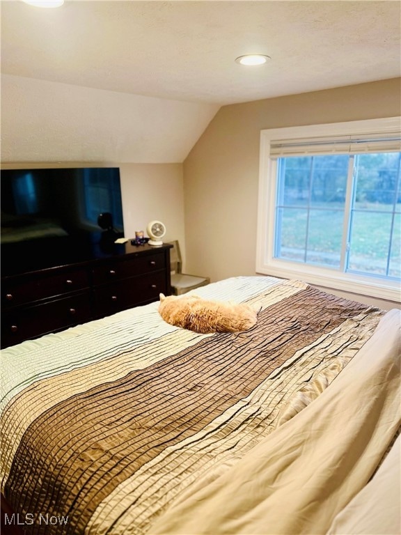 bedroom featuring vaulted ceiling