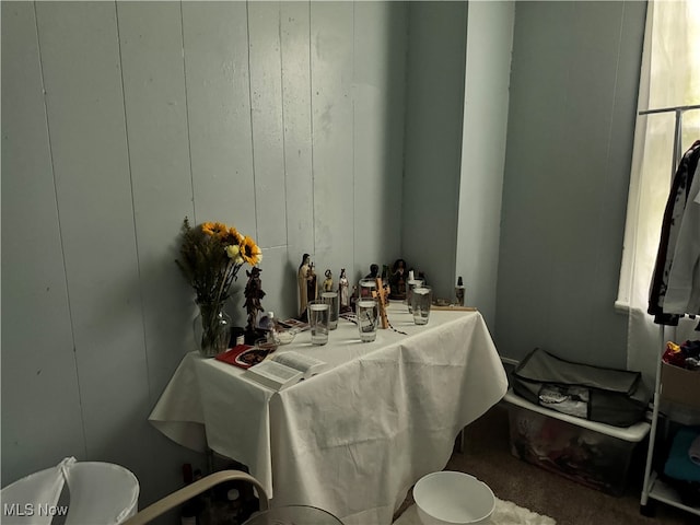 bathroom with wood walls