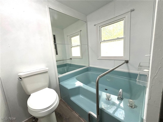 bathroom featuring toilet, a tub to relax in, and wood-type flooring