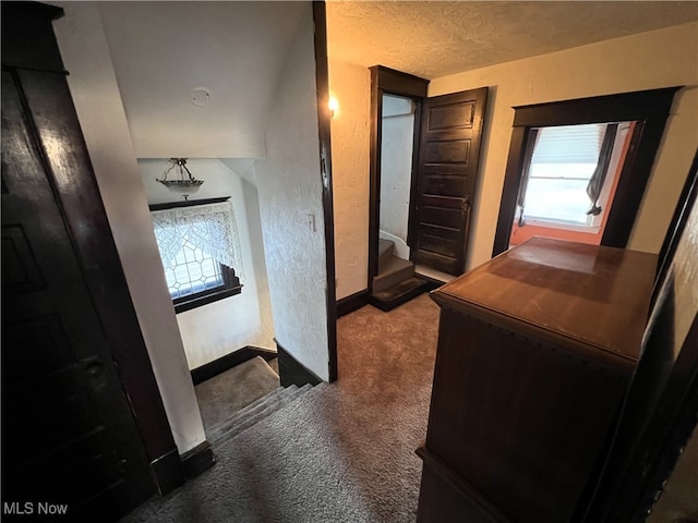 hallway with carpet and a textured ceiling