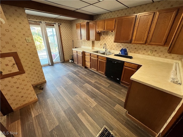 kitchen featuring dishwasher, a paneled ceiling, dark wood-type flooring, and sink