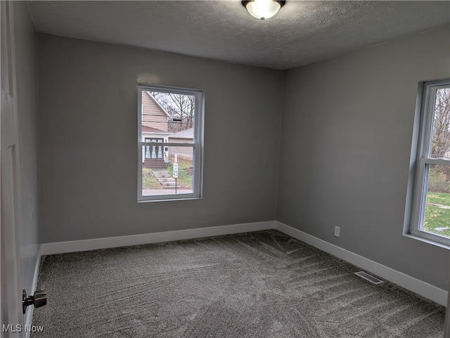 spare room featuring a wealth of natural light, carpet floors, and a textured ceiling