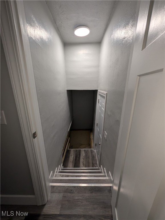 stairway with hardwood / wood-style flooring