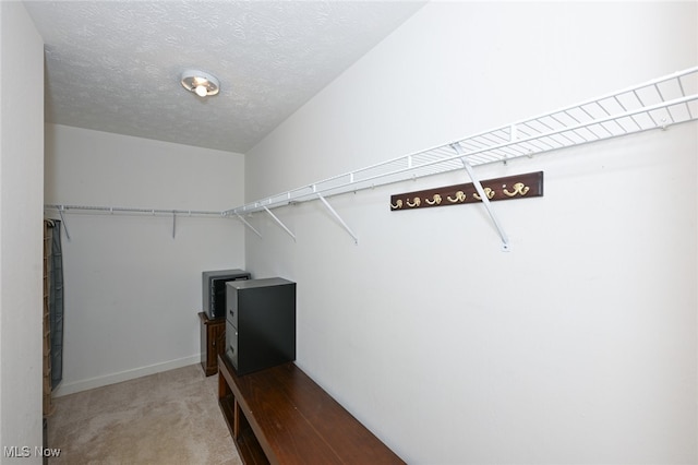 walk in closet with carpet