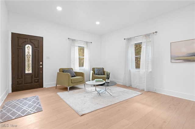 living area with light hardwood / wood-style flooring