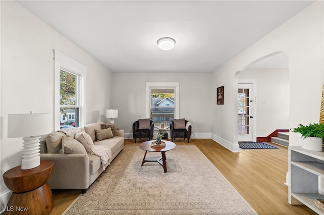 living room featuring hardwood / wood-style flooring and a healthy amount of sunlight