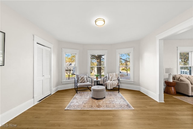 living area featuring light hardwood / wood-style floors and plenty of natural light