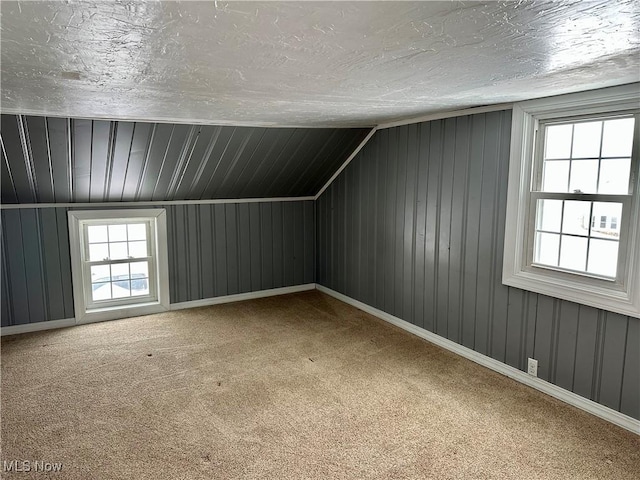 additional living space with a textured ceiling, carpet floors, and vaulted ceiling