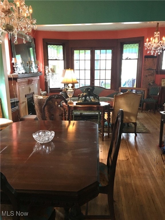 dining room featuring wood-type flooring