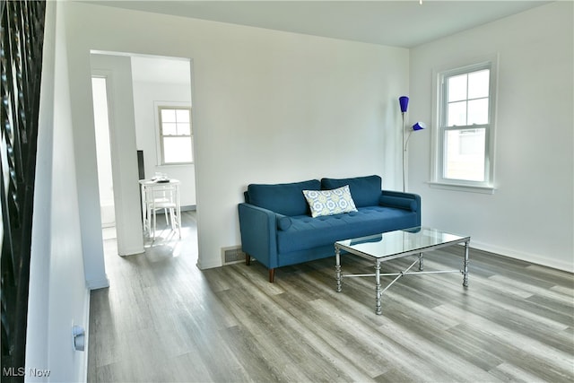 living room featuring light hardwood / wood-style flooring and a healthy amount of sunlight