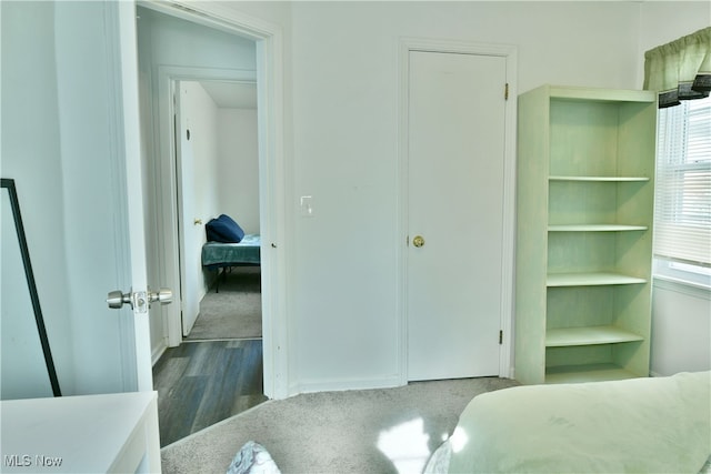 bedroom featuring wood-type flooring