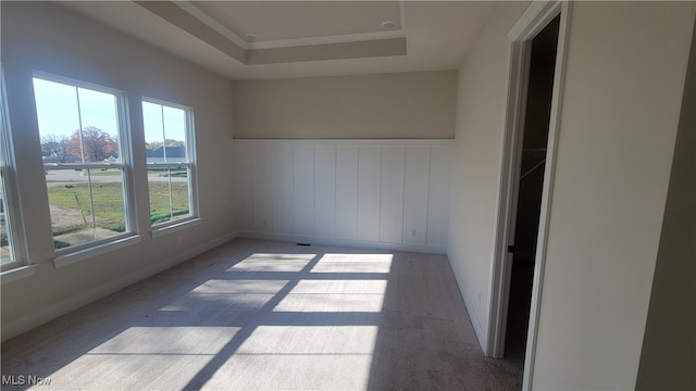 carpeted empty room featuring a tray ceiling