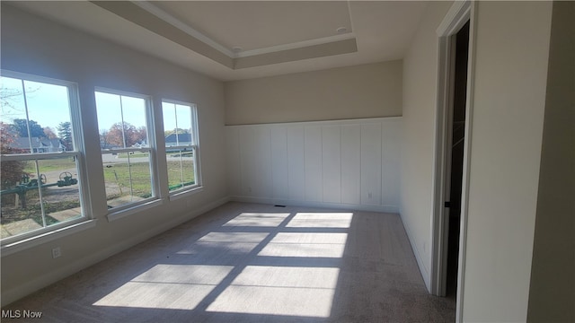 carpeted spare room with plenty of natural light and a raised ceiling