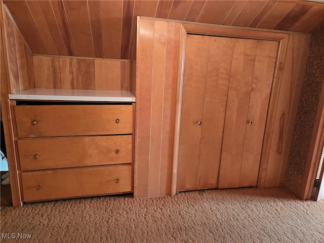 details featuring wood walls, wood ceiling, and carpet floors