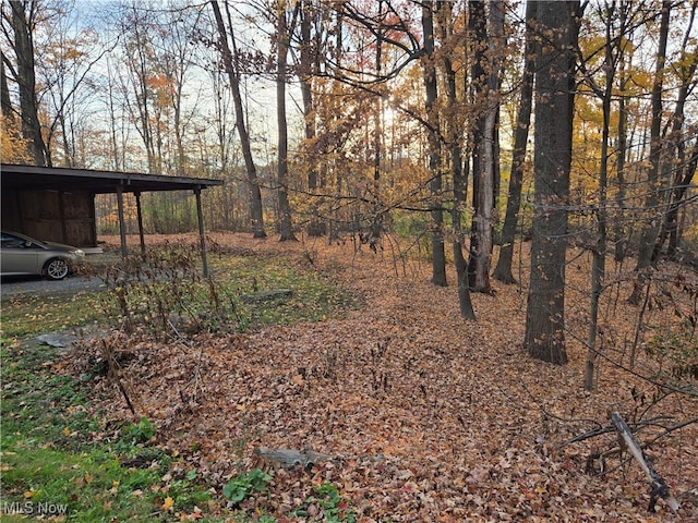 view of yard with a carport