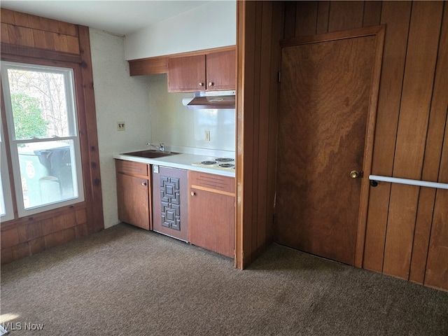 kitchen with light colored carpet, sink, and white cooktop