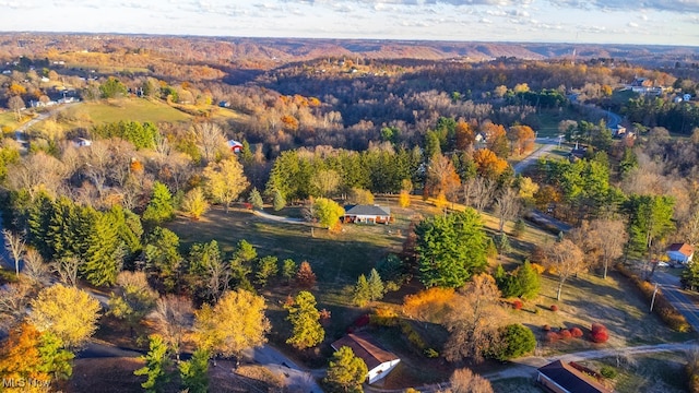 bird's eye view