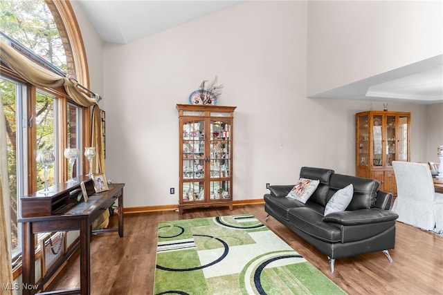 living room featuring wood-type flooring