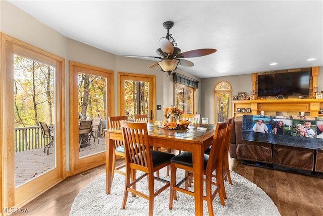 dining space with ceiling fan and wood-type flooring