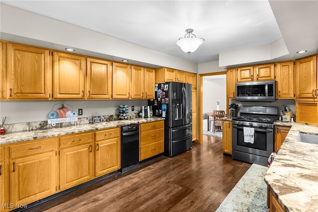 kitchen featuring appliances with stainless steel finishes, light stone counters, and dark hardwood / wood-style flooring