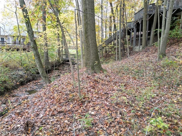 370 Wilcox Rd, Austintown, OH 44515 - view of undeveloped land