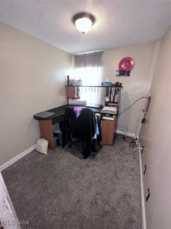 47 Swan St, Geneva, OH 44041 - office space featuring carpet, baseboards, and a textured ceiling