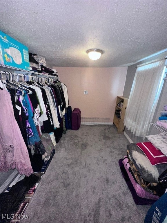 spacious closet featuring carpet flooring