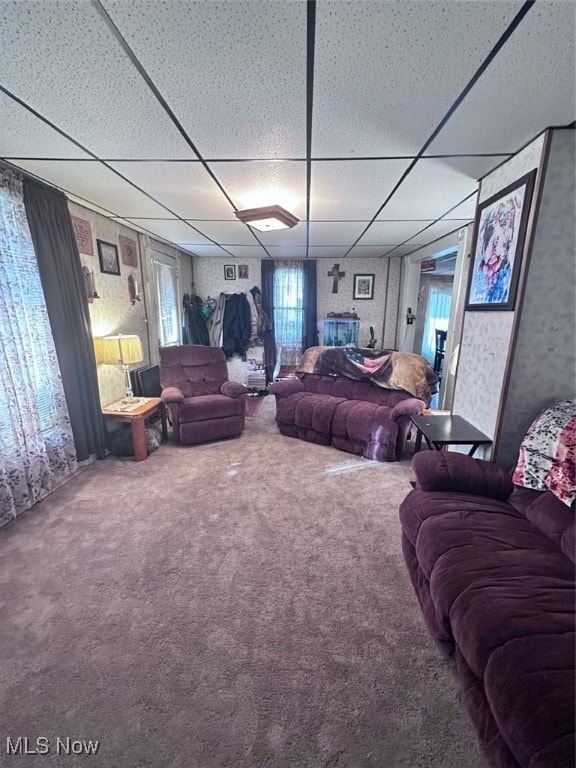 living room featuring a paneled ceiling and carpet