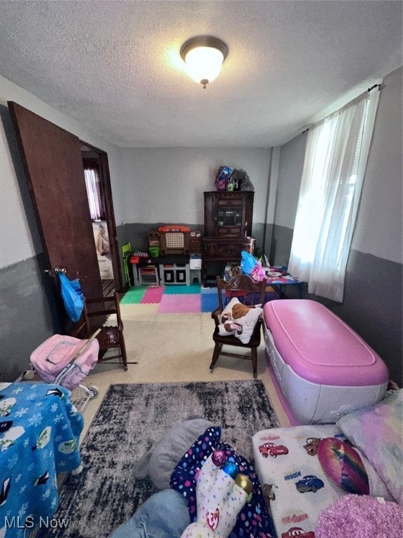 interior space with carpet and a textured ceiling