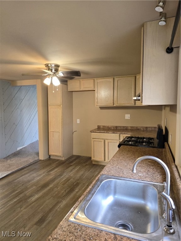 kitchen featuring black stove, dark hardwood / wood-style flooring, ceiling fan, and sink