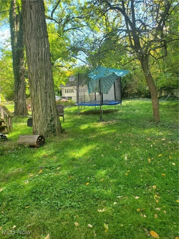 view of yard with a trampoline