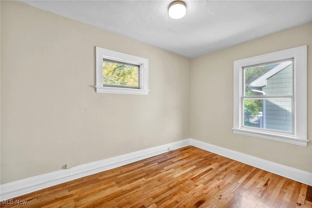 empty room featuring a wealth of natural light and light hardwood / wood-style flooring