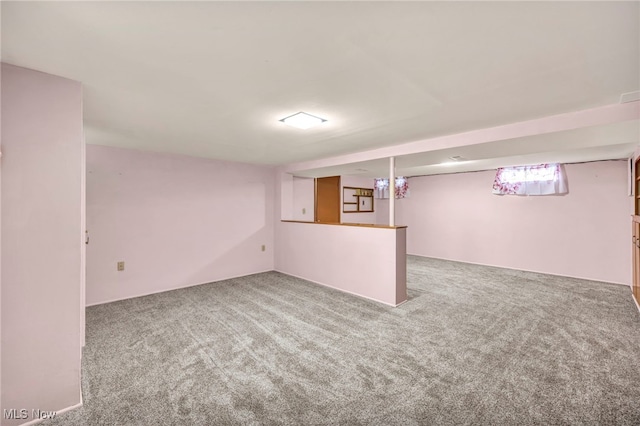 basement featuring carpet