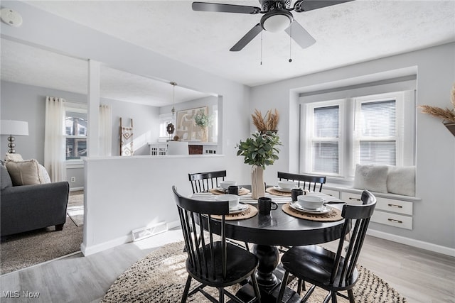 dining area featuring ceiling fan, plenty of natural light, light hardwood / wood-style floors, and a textured ceiling