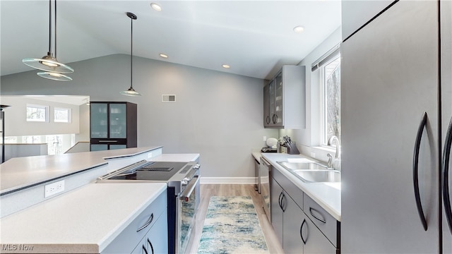 kitchen with stainless steel appliances, a wealth of natural light, decorative light fixtures, and lofted ceiling