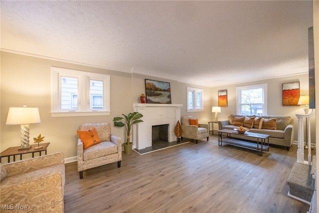 living room featuring wood-type flooring and a textured ceiling