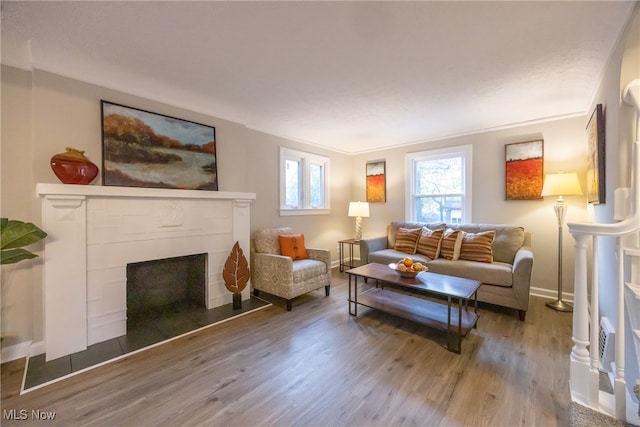 living room with hardwood / wood-style floors