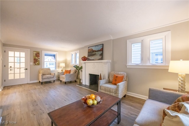 living room featuring a brick fireplace and hardwood / wood-style floors