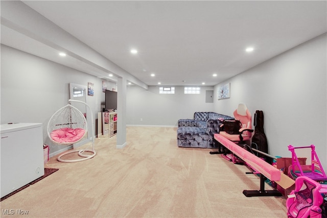 rec room featuring electric panel and light carpet